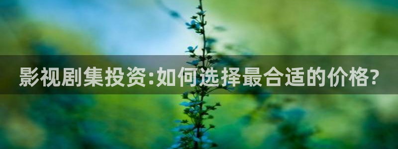 平民影院理论片：影视剧集投资:如何选择最合适的价格?