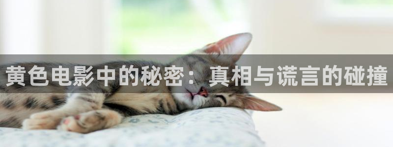 abc影视平民影院：黄色电影中的秘密：真相与谎言的碰撞