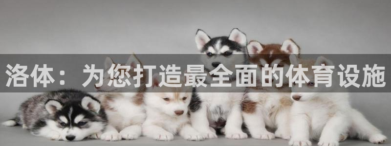 意昂体育3平台是正规平台吗知乎