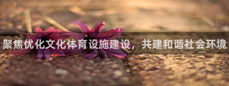 意昂体育3平台是正规平台吗知乎：聚焦优化文化体育设施建设，共