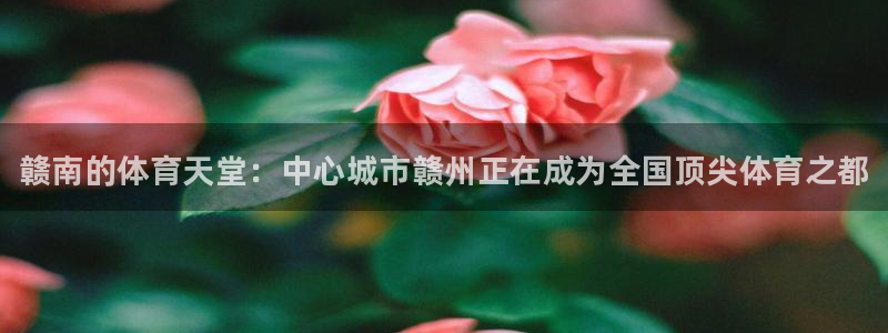 意昂3娱乐下载：赣南的体育天堂：中心城市赣州正在成为全国顶尖