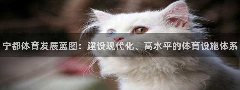 意昂3娱乐首页网站大全：宁都体育发展蓝图：建设现代化、高水平