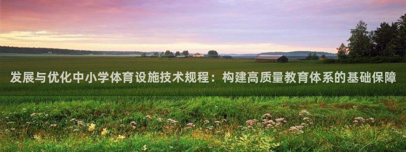 意昂体育3平台注册要钱吗安全吗：发展与优化中小学体育设施技术 