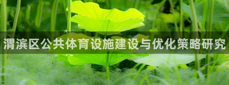 意昂3集团简介：渭滨区公共体育设施建设与优化策略研究