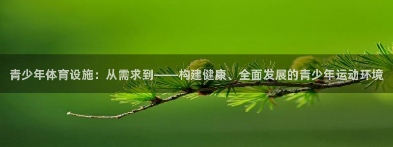 意昂3娱乐40996：青少年体育设施：从需求到——构