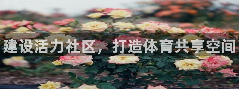 意昂体育3：建设活力社区，打造体育共享空间