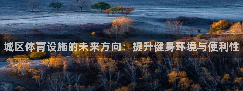 意昂3科技：城区体育设施的未来方向：提升健身环境与便