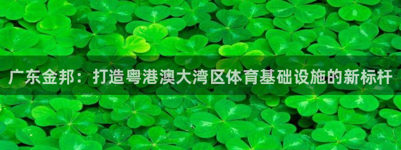 意昂体育3平台：广东金邦：打造粤港澳大湾区体育基础设施的新标
