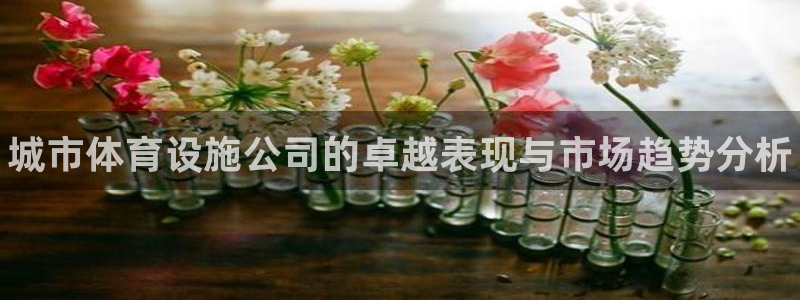 意昂体育3招商电话地址是多少：城市体育设施公司的卓越表现与市