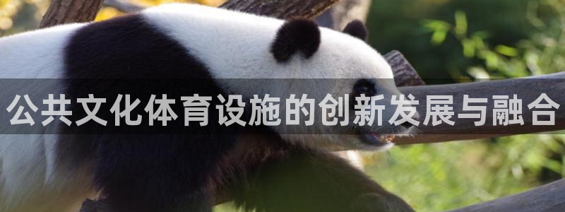 意昂3娱乐平台：公共文化体育设施的创新发展与融合