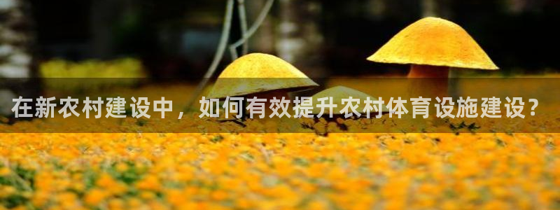 意昂体育3平台注册要钱吗是真的吗：在新农村建设中，如何有效提